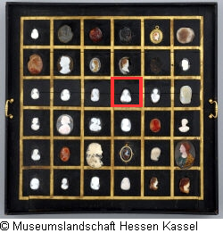 B XVI. Tab. B-III-16 Bild