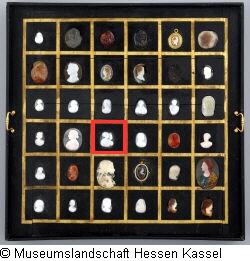 B XVI. Tab. B-III-21 Bild