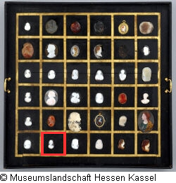 B XVI. Tab. B-III-32 Bild