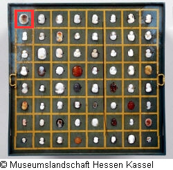 B XVI. Tab. B-VII-1 Bild