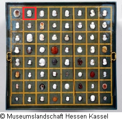 B XVI. Tab. B-VII-2 Bild