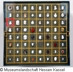 B XVI. Tab. B-VII-17 Bild