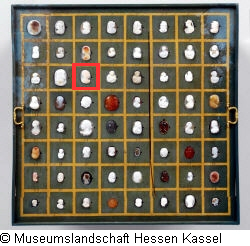 B XVI. Tab. B-VII-19 Bild