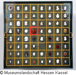 B XVI. Tab. B-VII-28 Bild