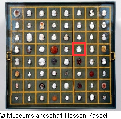 B XVI. Tab. B-VII-30 Bild