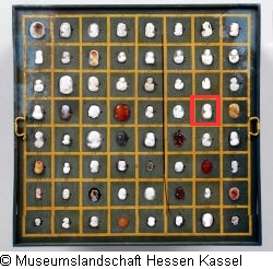 B XVI. Tab. B-VII-31 Bild