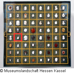 B XVI. Tab. B-VII-34 Bild