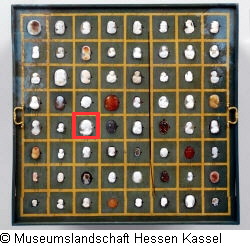 B XVI. Tab. B-VII-35 Bild