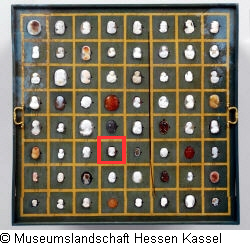 B XVI. Tab. B-VII-44 Bild