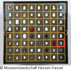 B XVI. Tab. B-VII-48 Bild