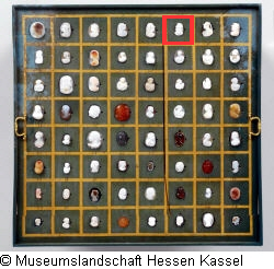 B XVI. Tab. B-VII-6 Bild