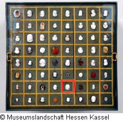 B XVI. Tab. B-VII-53 Bild