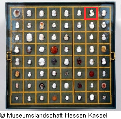 B XVI. Tab. B-VII-7 Bild