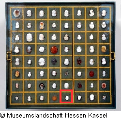 B XVI. Tab. B-VII-61 Bild