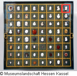 B XVI. Tab. B-VII-8 Bild