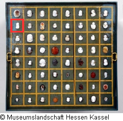 B XVI. Tab. B-VII-9 Bild