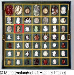 B XVI. Tab. B-VI-16 Bild