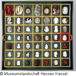 B XVI. Tab. B-VI-28 Bild