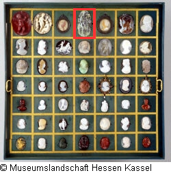 B XVI. Tab. B-VI-4 Bild