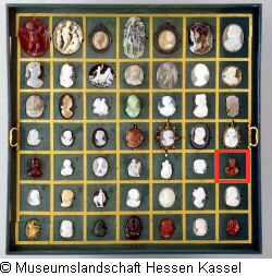 B XVI. Tab. B-VI-35 Bild