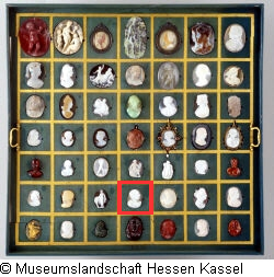 B XVI. Tab. B-VI-39 Bild