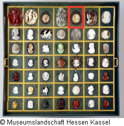 B XVI. Tab. B-VI-5 Bild