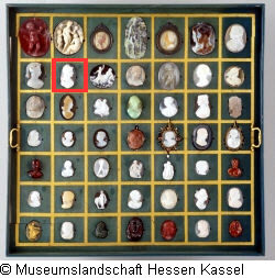 B XVI. Tab. B-VI-9 Bild