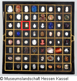 B XVI. Tab. B-IV-19 Bild