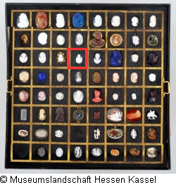 B XVI. Tab. B-IV-20 Bild